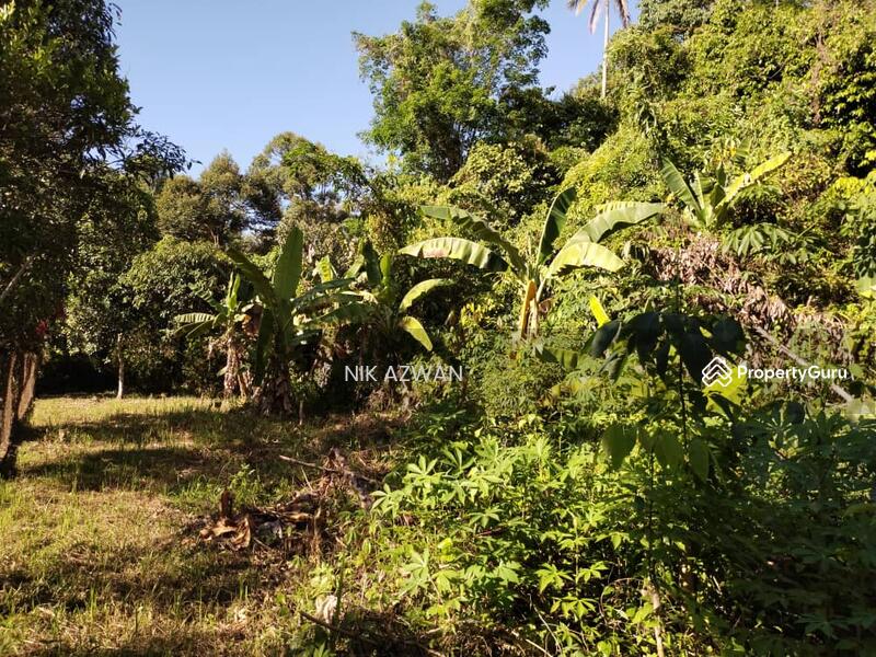 Tanah 14 767 Kp Di Chekok Panji Kota Bharu Jalan Panji Kota Bharu Kelantan Agricultural Lands For Sale By Nik Azwan Rm 188 000 32747030