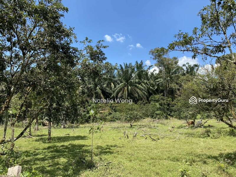 Agricultural Land for Rent in Gombak (Selangor) - Natelie Wong - PropertyGuru.com.my