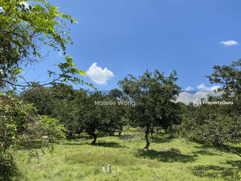 Agricultural Land for Rent in Gombak (Selangor) - Natelie Wong - PropertyGuru.com.my