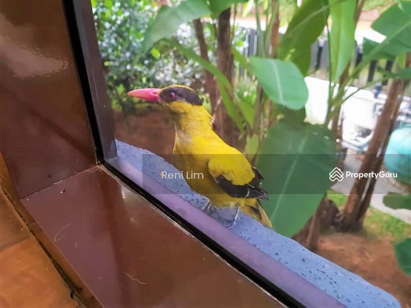 Bungalow for Sale in Petaling Jaya (Selangor) - Reni Lim - PropertyGuru.com.my