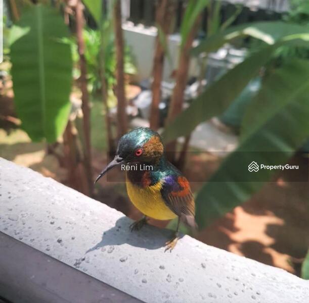 For Sale - Tropicana Indah