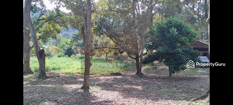 Agricultural Land for Sale in Bentong (Pahang) - Johnny Lee - PropertyGuru.com.my