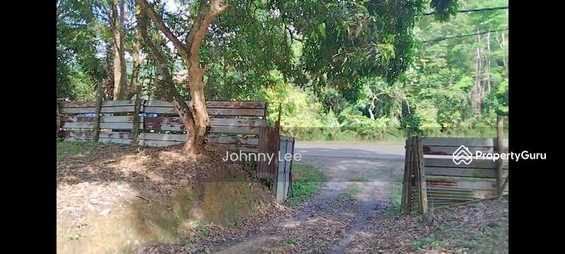 Agricultural Land for Sale in Bentong (Pahang) - Johnny Lee - PropertyGuru.com.my