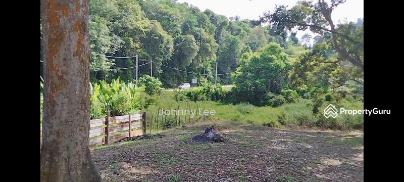 Agricultural Land for Sale in Bentong (Pahang) - Johnny Lee - PropertyGuru.com.my
