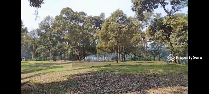 Agricultural Land for Sale in Bentong (Pahang) - Johnny Lee - PropertyGuru.com.my