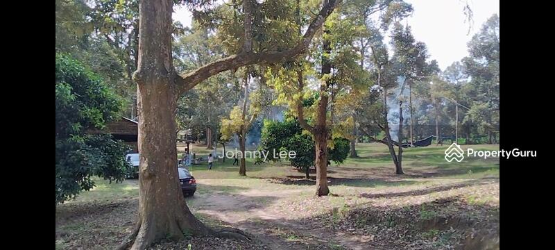 Agricultural Land for Sale in Bentong (Pahang) - Johnny Lee - PropertyGuru.com.my