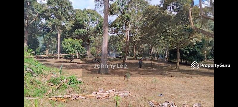 Agricultural Land for Sale in Bentong (Pahang) - Johnny Lee - PropertyGuru.com.my