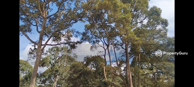 Agricultural Land for Sale in Bentong (Pahang) - Johnny Lee - PropertyGuru.com.my