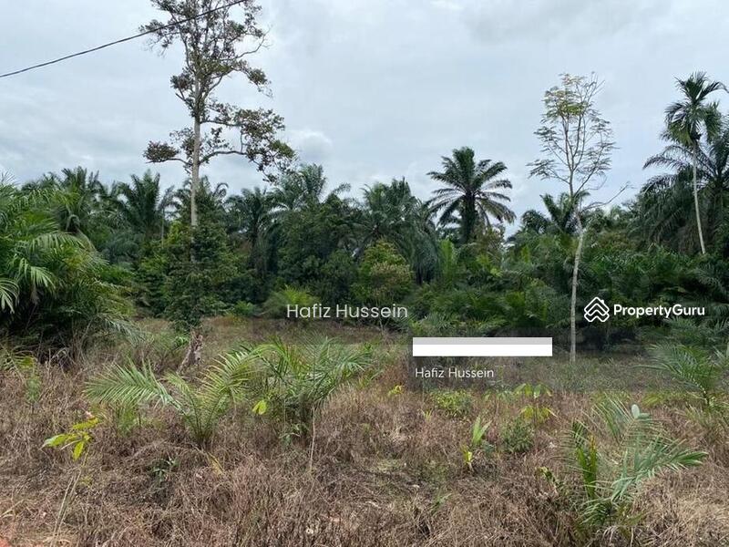Kampung Sepakat Jaya Pekan Nanas Pontian Untuk Dijual Pekan Nanas Johor Pekan Nanas Pekan Nenas Pontian Johor Tanah Pertanian Dari Harga Rm 650 000 Propertyguru Malaysia