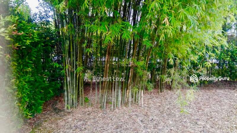 Bungalow House for Sale in Leisure Farm (Gelang Patah) - Ernest Lew - PropertyGuru.com.my