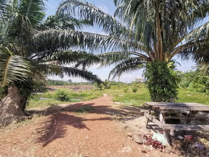 Agricultural Land for Sale in Sungai Rambai (Melaka) - M Jamil Ali - PropertyGuru.com.my