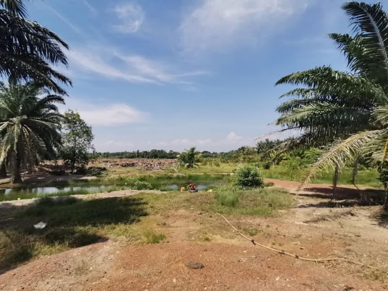 Agricultural Land for Sale in Sungai Rambai (Melaka) - M Jamil Ali - PropertyGuru.com.my