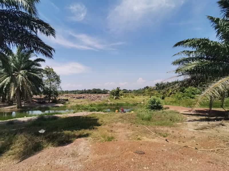 Agricultural Land for Sale in Sungai Rambai (Melaka) - M Jamil Ali - PropertyGuru.com.my