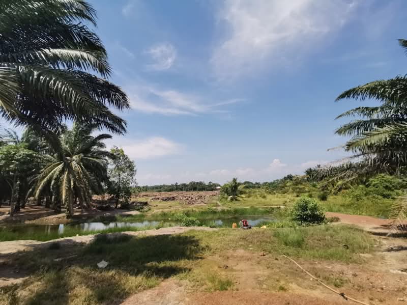 Agricultural Land for Sale in Sungai Rambai (Melaka) - M Jamil Ali - PropertyGuru.com.my