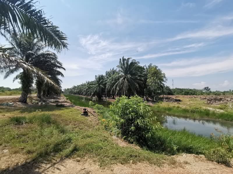 Agricultural Land for Sale in Sungai Rambai (Melaka) - M Jamil Ali - PropertyGuru.com.my