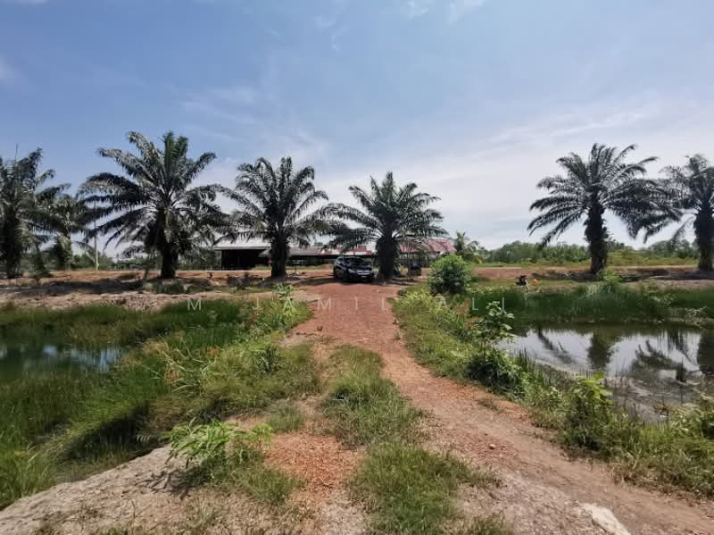 Agricultural Land for Sale in Sungai Rambai (Melaka) - M Jamil Ali - PropertyGuru.com.my