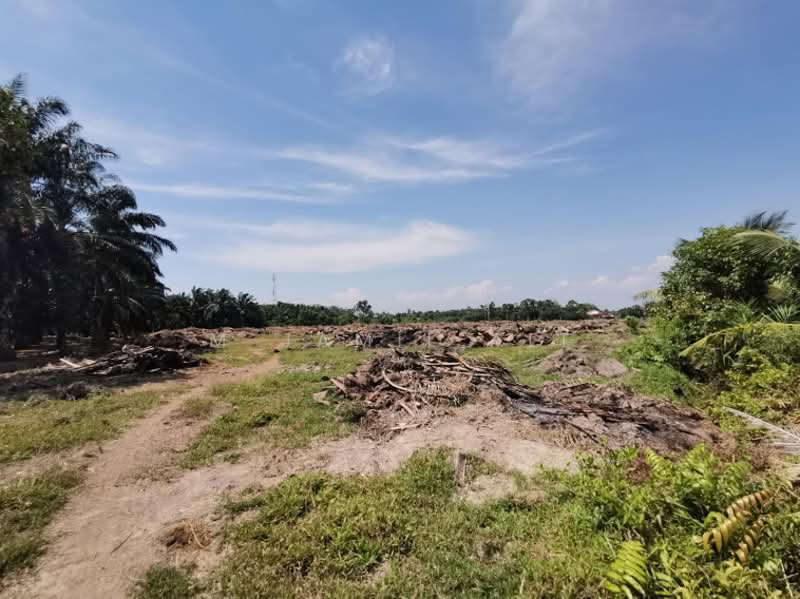 Agricultural Land for Sale in Sungai Rambai (Melaka) - M Jamil Ali - PropertyGuru.com.my