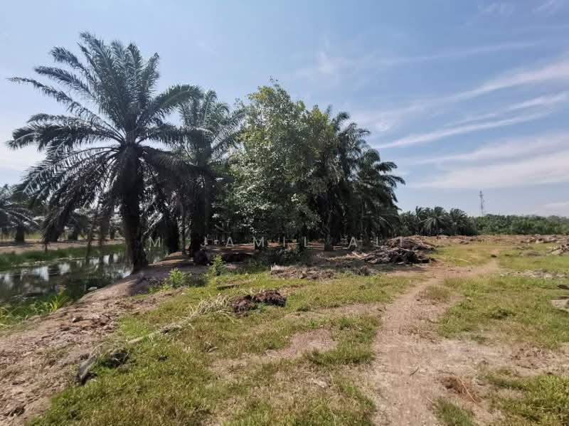 Agricultural Land for Sale in Sungai Rambai (Melaka) - M Jamil Ali - PropertyGuru.com.my