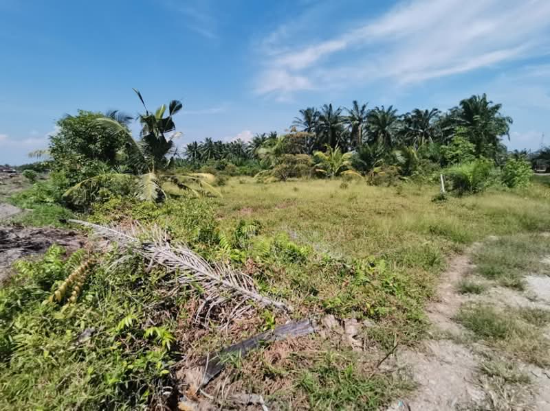 Agricultural Land for Sale in Sungai Rambai (Melaka) - M Jamil Ali - PropertyGuru.com.my
