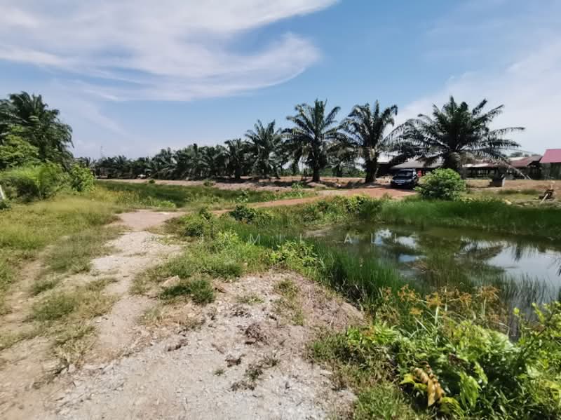 Agricultural Land for Sale in Sungai Rambai (Melaka) - M Jamil Ali - PropertyGuru.com.my