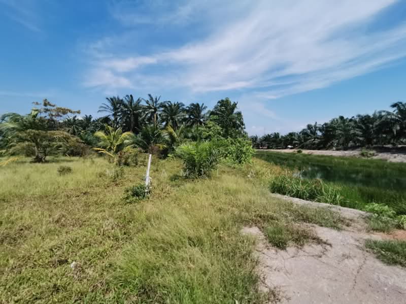 Agricultural Land for Sale in Sungai Rambai (Melaka) - M Jamil Ali - PropertyGuru.com.my