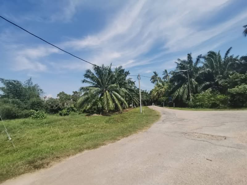 Agricultural Land for Sale in Sungai Rambai (Melaka) - M Jamil Ali - PropertyGuru.com.my
