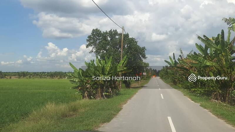 No Longer Available Tanah Pertanian Parit 12 Sungai Panjang Sungai Besar Selangor Sungai Besar Sabak Bernam Selangor Agricultural Lands For Sale By Sariza Hartanah Rm 280 000 33105834