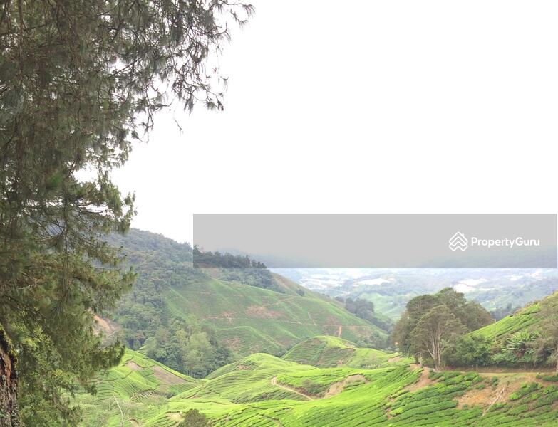 Cameron Highlands Agricultural Land For Sale, Cameron Highlands, Pahang