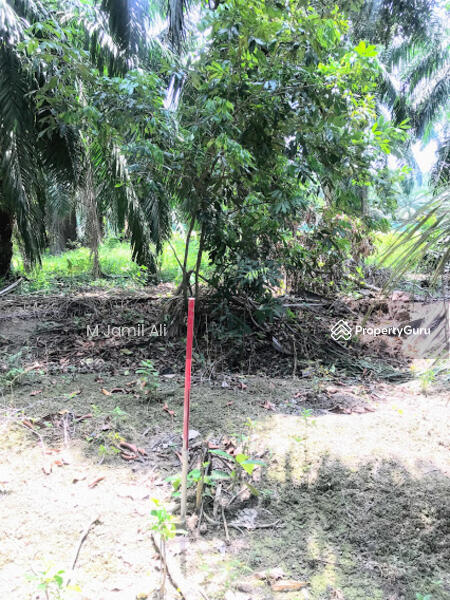 For Sale - Kampung Peserai Pantai, Batu Pahat, Johor