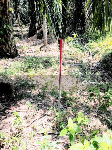 For Sale - Kampung Peserai Pantai, Batu Pahat, Johor