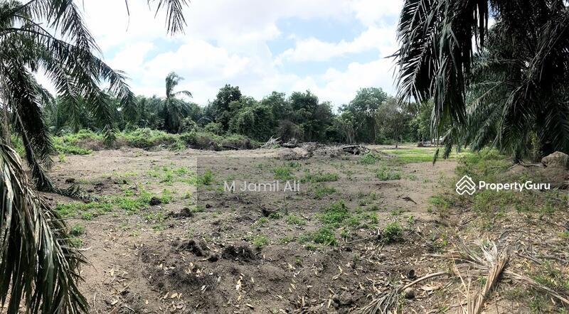 For Sale - Kampung Peserai Pantai, Batu Pahat, Johor