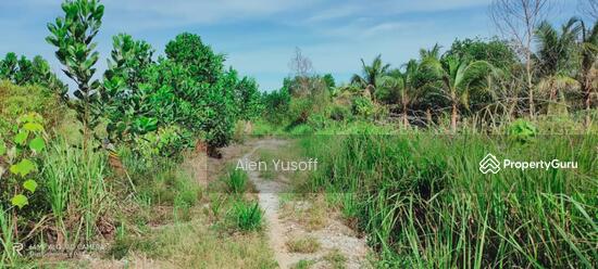 Tidak Lagi Tersedia Tanah Pertanian Kg Sri Damai Kuantan Pahang Untuk Dijual Kuantan Pahang Tanah Pertanian Dari Harga Rm 120 000 Propertyguru Malaysia