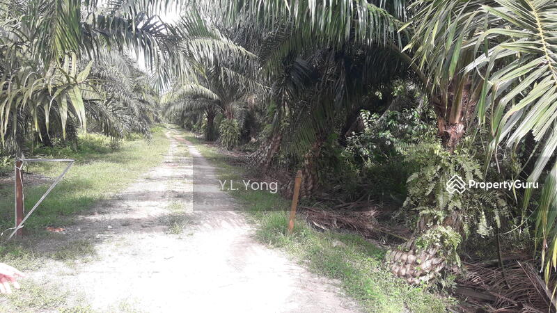 Industrial Land for Rent in Shah Alam (Selangor) - Y.L. Yong - PropertyGuru.com.my