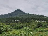 For Sale - Padang Gajah Village Perak