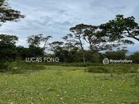 For Sale - Siputeh Perak 10 Acres Branded Durian Orchard Land