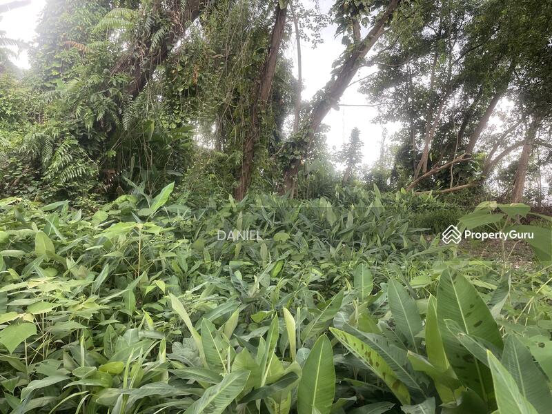 Tanah Kediaman untuk Dijual di Bukit Gasing (Petaling Jaya) - DANIEL . - PropertyGuru.com.my