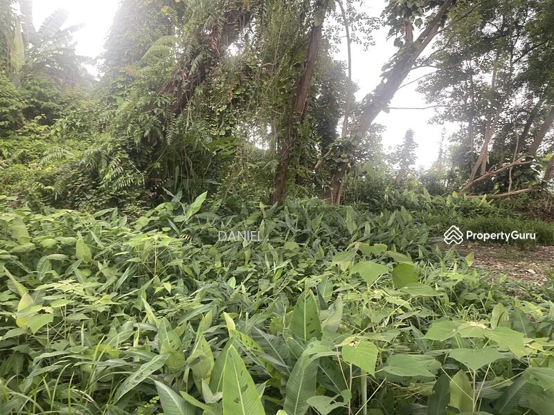 Tanah Kediaman untuk Dijual di Bukit Gasing (Petaling Jaya) - DANIEL . - PropertyGuru.com.my
