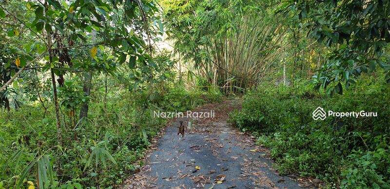 Bungalow for Sale in Hulu Langat (Selangor) - Nazrin Razali - PropertyGuru.com.my