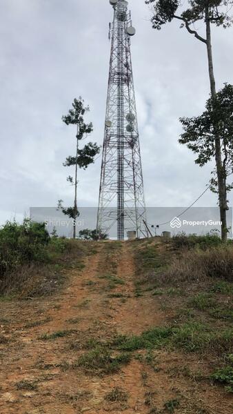 Tanah Pertanian untuk Dijual di Raub (Pahang) - Shirley Sai - PropertyGuru.com.my