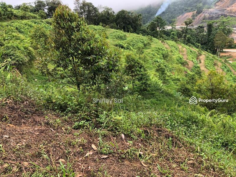 Tanah Pertanian untuk Dijual di Raub (Pahang) - Shirley Sai - PropertyGuru.com.my