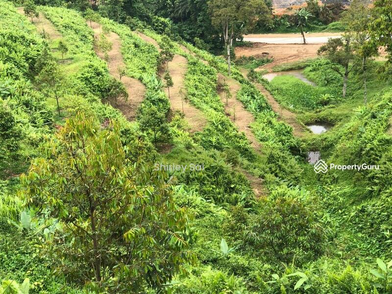 Tanah Pertanian untuk Dijual di Raub (Pahang) - Shirley Sai - PropertyGuru.com.my