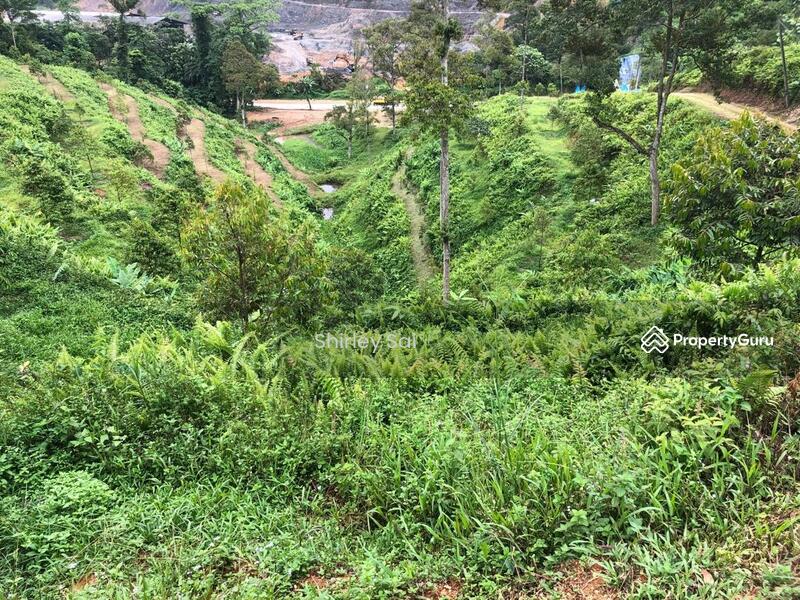 Tanah Pertanian untuk Dijual di Raub (Pahang) - Shirley Sai - PropertyGuru.com.my