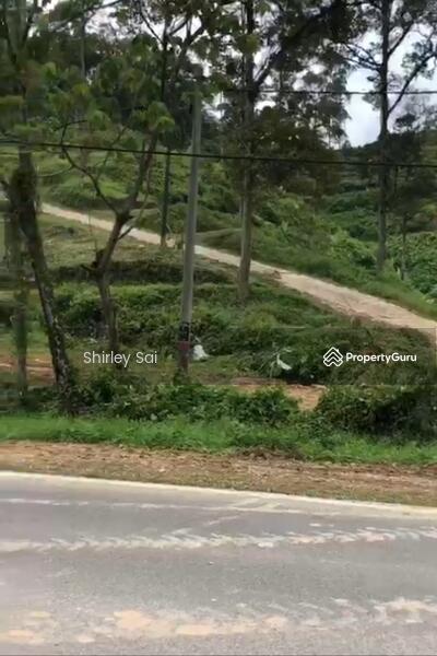 Tanah Pertanian untuk Dijual di Raub (Pahang) - Shirley Sai - PropertyGuru.com.my