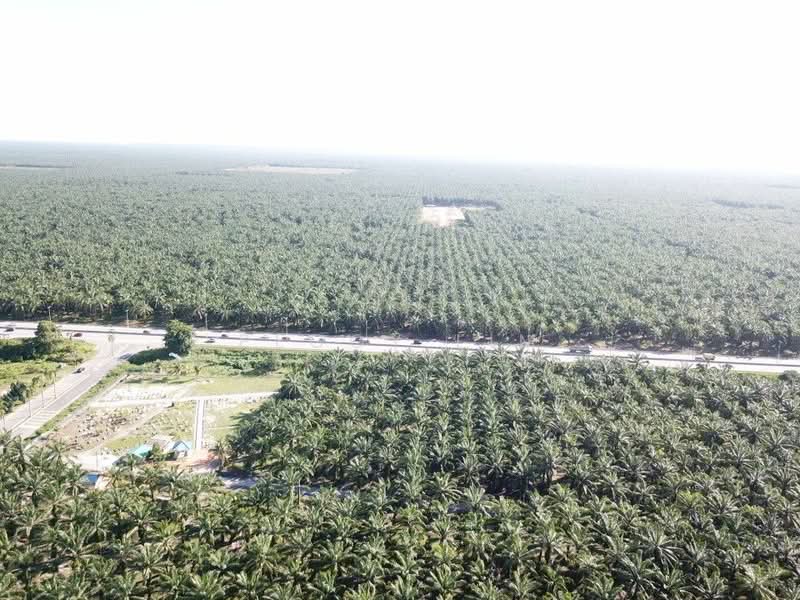 Agricultural Land for Sale in Banting (Selangor) - Peggy Lim - PropertyGuru.com.my