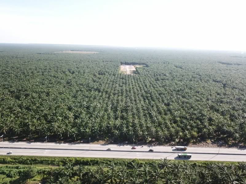 Agricultural Land for Sale in Banting (Selangor) - Peggy Lim - PropertyGuru.com.my