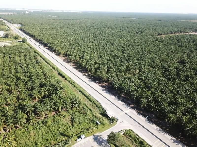 Agricultural Land for Sale in Banting (Selangor) - Peggy Lim - PropertyGuru.com.my