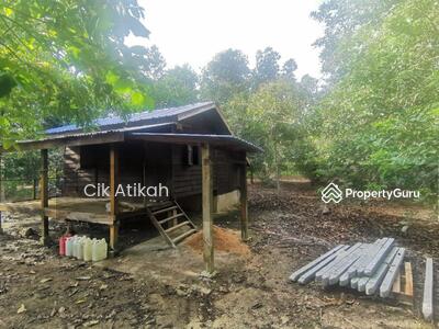 Harga Tanah Pertanian Untuk Dijual Di Kuala Nerang Kedah Di Bawah Rm 700 K Propertyguru Malaysia