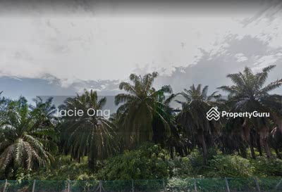 Agricultural Land For Sale In Seberang Perai Selatan Mainland South Penang Propertyguru Malaysia