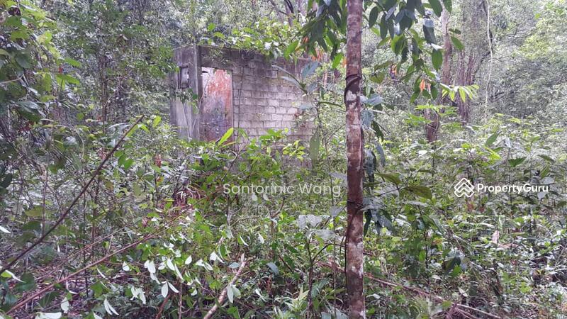 For Sale - Rompin,Pahang