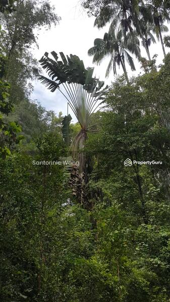 For Sale - Rompin,Pahang
